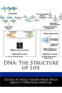 DNA