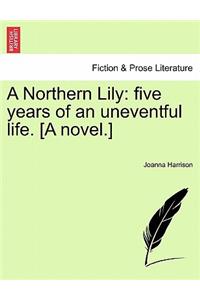 Northern Lily
