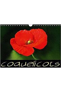 Coquelicots 2018