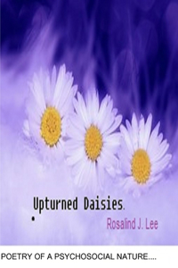 Upturned Daisies