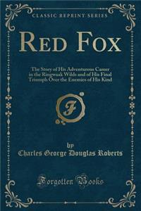 Red Fox