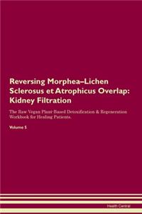 Reversing Morphea-Lichen Sclerosus et Atrophicus Overlap: Kidney Filtration The Raw Vegan Plant-Based Detoxification & Regeneration Workbook for Healing Patients. Volume 5