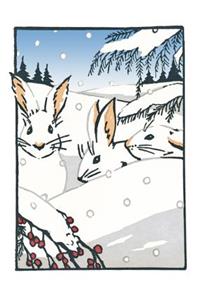 Snowshoe Hare (Boxed): Boxed Set of 6 Cards