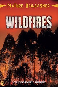 Nature Unleashed: Wildfires