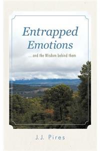 Entrapped Emotions ...and the Wisdom behind them
