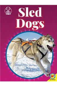 Sled Dogs