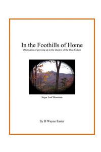 In the Foothills of Home: Memories of Growing Up in the Shadow of the Blue Ridge Mountains