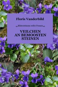 Veilchen an Bemoosten Steinen