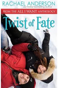 Twist of Fate (A Holiday Romance Novella)