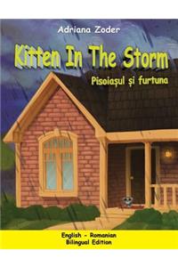Kitten in the Storm - Pisoiasul si furtuna