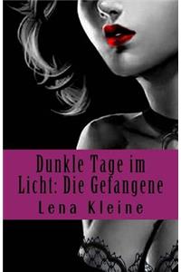 Dunkle Tage im Licht