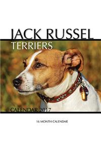 Jack Russel Terriers Calendar 2017