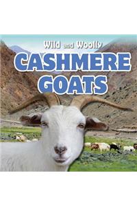 Cashmere Goats