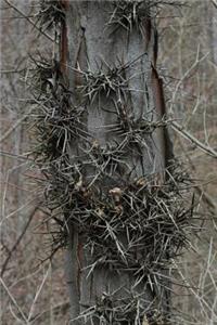 Tree Thorns Journal