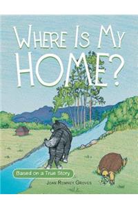 Where Is My Home?