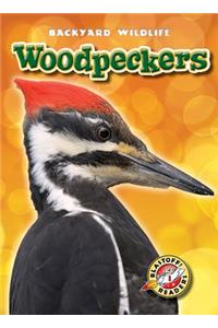 Woodpeckers