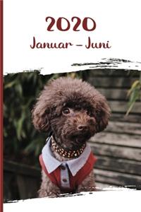 Kalender 2020