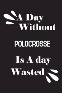 day without polocrosse is a day wasted