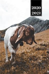 Goat Farmer Farming Herder Goatherd Week Planner Weekly Organizer Calendar 2020 / 2021 - Explore Mountains