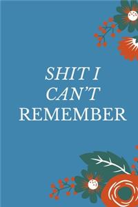 Shit I Can't Remember