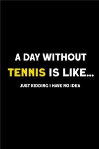 A Day without Tennis is like...