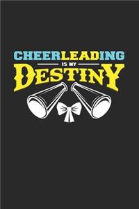 Cheerleading is my destiny