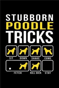 Stubborn Poodle Tricks sit down shake come fetch roll over stay