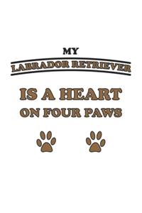 My Labrador Retriever is a heart on four paws