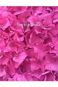 Sketch Book