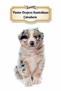 2020 Pastor Ovejero Australiano Calendario