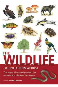 The Wildlife of Southern Africa