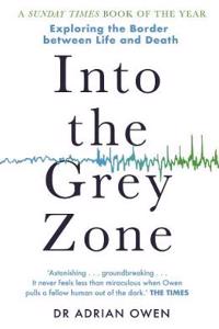 Into the Grey Zone