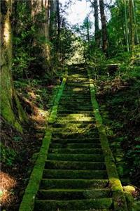 Moss Covered Stairs to a Shrine in Japan Journal