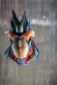 Colorful Mandarin Duck Journal