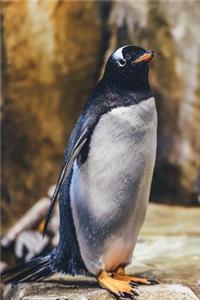 Cute Penguin Animal Journal