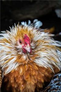 Chickens Notebook