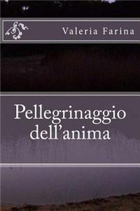 Pellegrinaggio Dell'anima