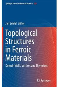 Topological Structures in Ferroic Materials