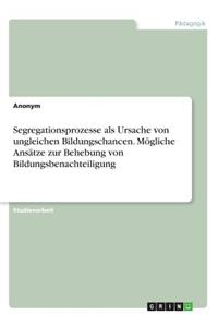 Segregationsprozesse als Ursache von ungleichen Bildungschancen. Mögliche Ansätze zur Behebung von Bildungsbenachteiligung
