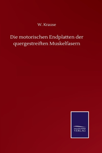 motorischen Endplatten der quergestreiften Muskelfasern