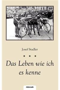 Das Leben Wie Ich Es Kenne