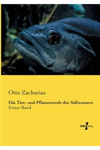 Tier- und Pflanzenwelt des Süßwassers