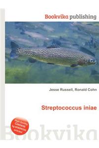 Streptococcus Iniae