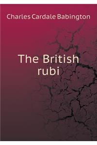 The British Rubi