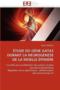 Étude du gène gata2 durant la neurogenese de la moelle épinière