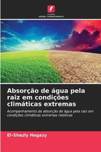 Absorção de água pela raiz em condições climáticas extremas