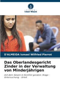 Oberlandesgericht Zinder in der Verwaltung von Minderjährigen
