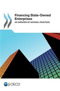 Financing State-Owned Enterprises