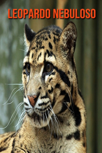 Leopardo nebuloso