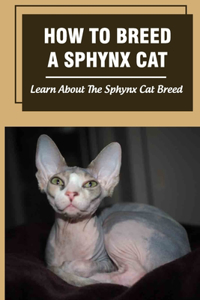 How To Breed A Sphynx Cat